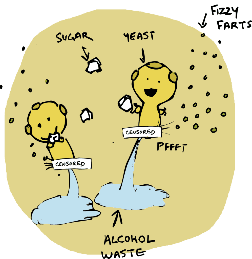alcohol and yeast