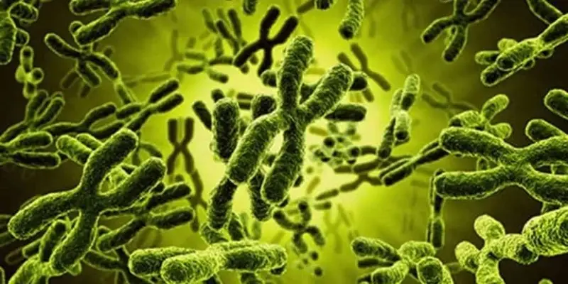 Genetic factors influencing acne causes—understanding your DNA is key to effective natural acne treatment in Dubai.