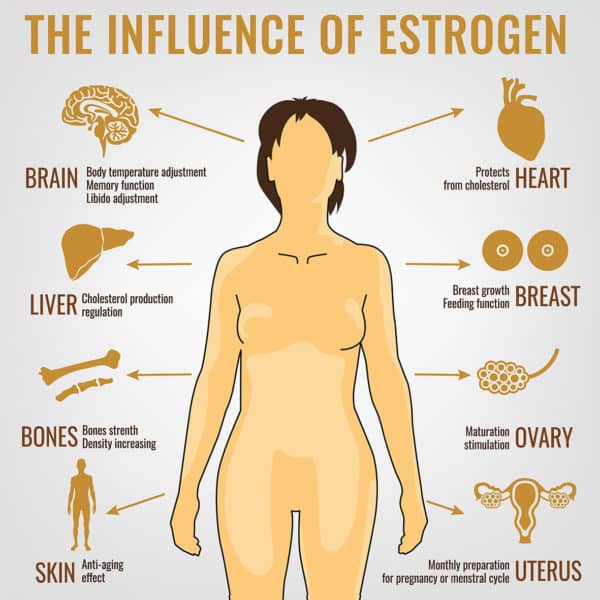 Insufficient Estrogen Symptoms 