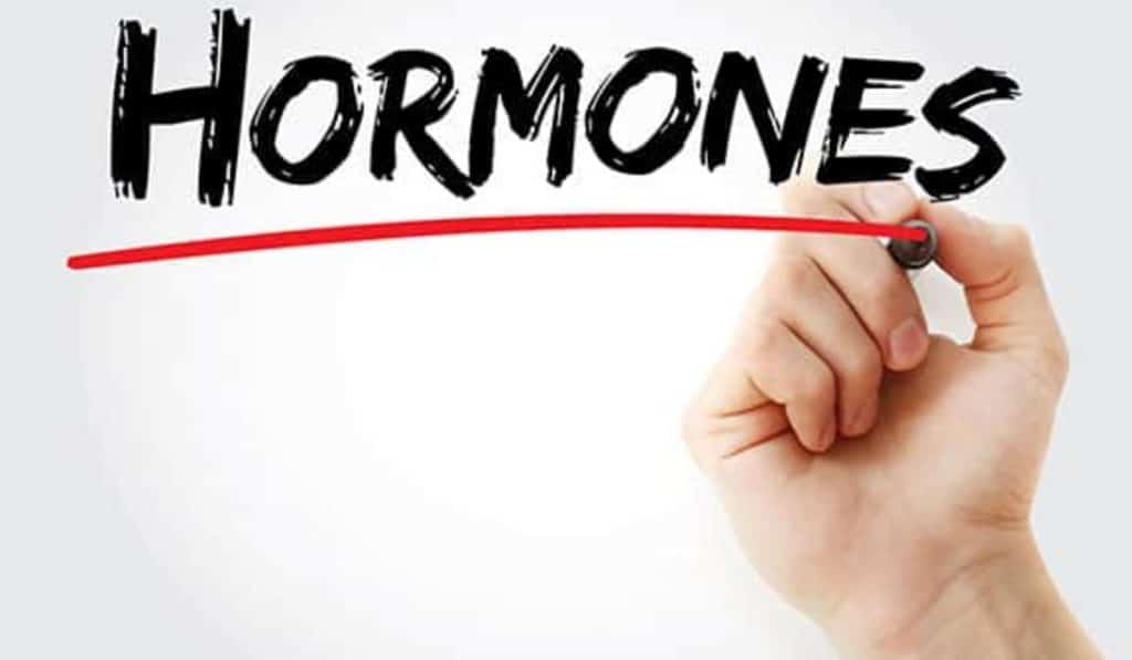 Functions of Hormones