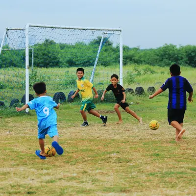 Outdoor activities increases contact with insect